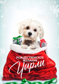 Рождественское желание Чарли (2020)